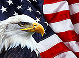 Eagle  looking to the left with American flag in background